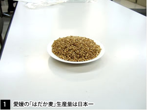 [1]愛媛の「はだか麦」生産量は日本一