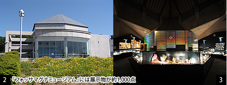 [2][3]「フォッサマグナミュージアム」には展示物が約1,000点