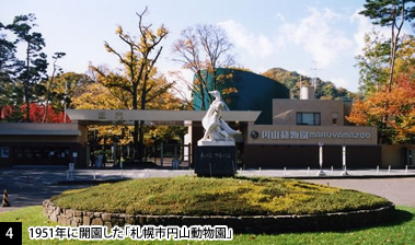 [4]1951年に開園した「札幌市円山動物園」