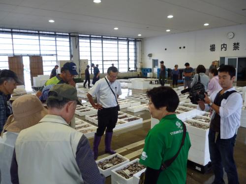 セリ市見学