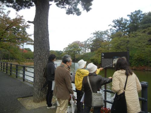 高田公園の極楽橋から見る高田城三重櫓
