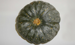 珠洲のエビスかぼちゃは甘味が強い