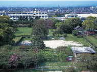 遠江国分寺跡