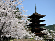 国宝瑠璃光寺五重塔（山口市）