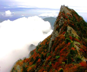 西日本最高峰「石鎚山」〜「つなぐ」「繋がる」くさりプロジェクト