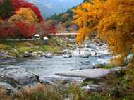 御岳渓谷