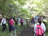 吉田口登山道