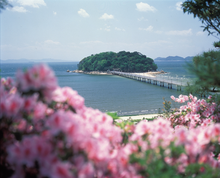 蒲郡のシンボル「竹島」