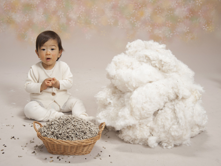 子ども服に必要な綿と廃棄される種