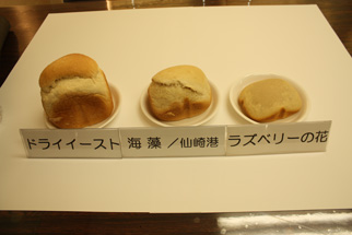 自然酵母を使ったパンを試作