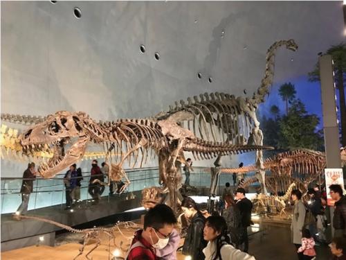 恐竜博物館での調査