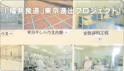 福井のブランド食品創造事業